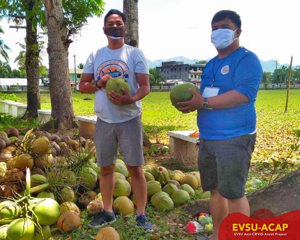 Burauen Campus harvests local produce as COVID response