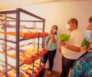 EVSU augments Innovation through the Development of Intelligent Green Box for Indoor Farming