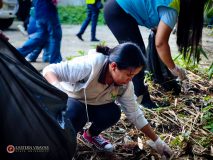 Environmental Impact