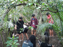 Environmental Impact