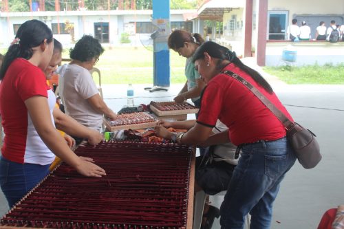 Vocational Training Events (Lifelong Learning)