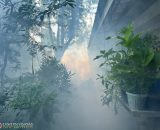 EVSU conducts campus-wide fogging as preventive measure against Dengue