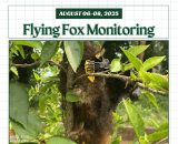 Flying fox population count & habitat monitoring through the collaboration of DENR and EVSU strengthens conservation efforts in Biliran