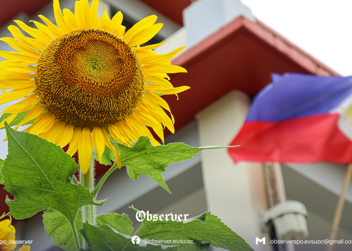 SDG 15: Life on Land