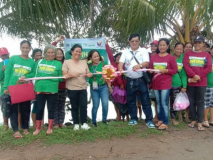 Environmental Impact