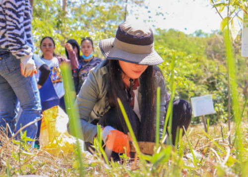 SDG 11: Sustainable Cities and Communities