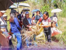 Environmental Impact