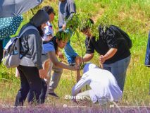 Environmental Impact