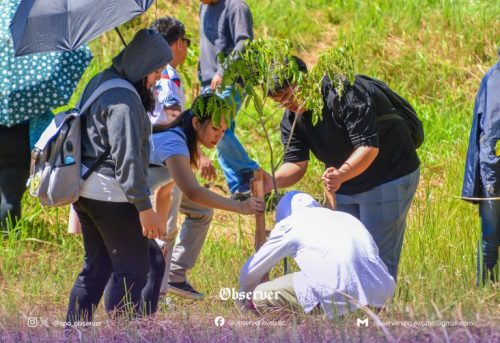 Collaboration with NGOs for SDGs