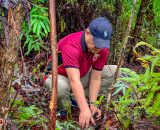 EVSU Marks 119th Anniversary with PUNLA-NURCA Launch and City Clean-Up Walk