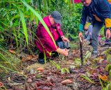 EVSU Marks 119th Anniversary with PUNLA-NURCA Launch and City Clean-Up Walk