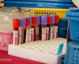 EVSU partners with DOH RO8 for blood donation drive