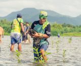 EVSU employees champion coastal conservation in Palo