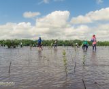 EVSU employees champion coastal conservation in Palo