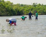 EVSU employees champion coastal conservation in Palo
