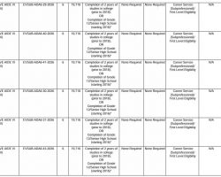Job Vacancy Announcement (August 5, 2026)